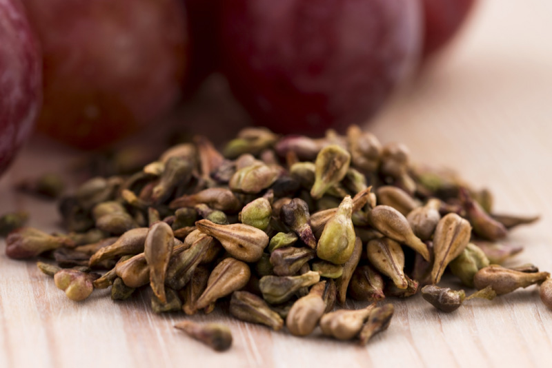 Grape Seed Extract